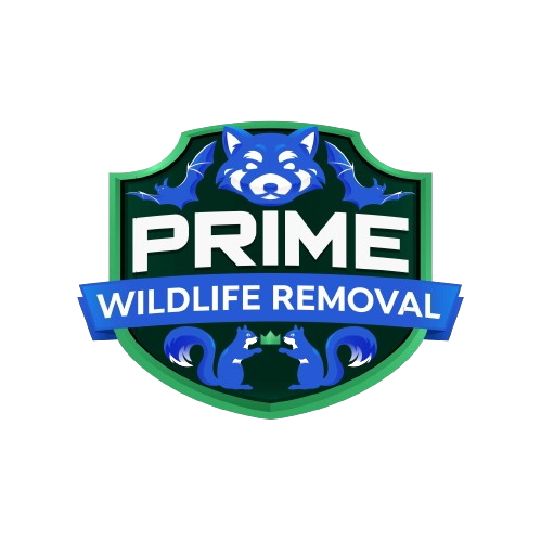Wildlife Removal Scott County